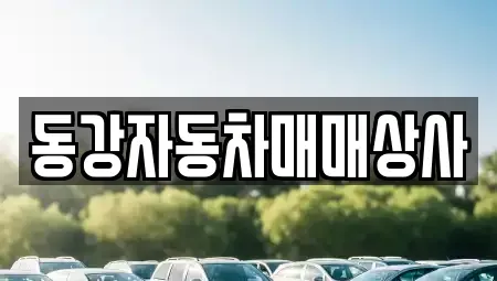강원특별자치도 영월군 중고차,렌트카,중고차매입,중고차매매,장기렌트카,단기렌트카