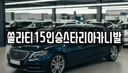 강원특별자치도 원주시 일산동 렌트카 전문 쏠라티15인승스타리아카니발