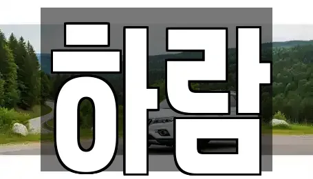 강원특별자치도 원주시 일산동 장기렌트카 전문 하람