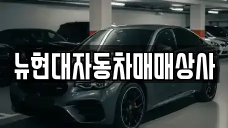 강원특별자치도 원주시 흥업면 중고차 전문 뉴현대자동차매매상사