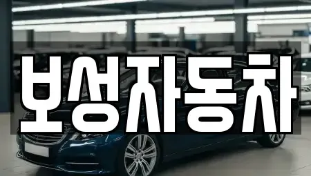 강원특별자치도 원주시 흥업면 중고차 전문 보성자동차