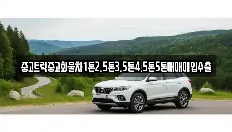 강원특별자치도 춘천시 봉의동 중고차매입 전문 중고트럭중고화물차1톤2.5톤3.5톤4.5톤5톤매매매입수출