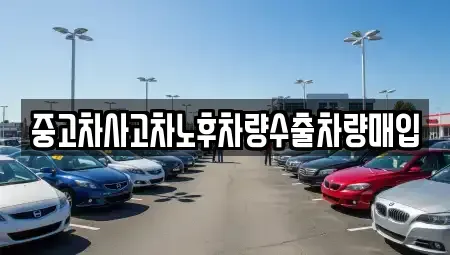 강원특별자치도 춘천시 사농동 중고차매매 전문 중고차사고차노후차량수출차량매입