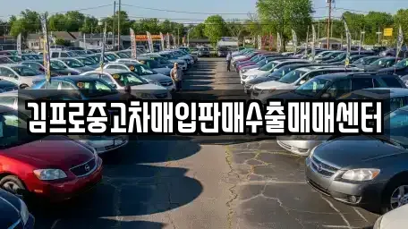 강원특별자치도 춘천시 옥천동 중고차매입 전문 김프로중고차매입판매수출매매센터