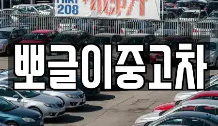 강원특별자치도 태백시 조탄동 중고차 전문 뽀글이중고차