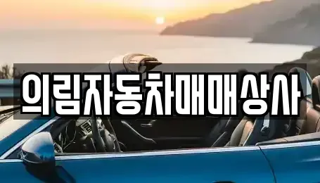 강원특별자치도 태백시 혈동 중고차매매,단기렌트카,중고차매입,장기렌트카,중고차,렌트카