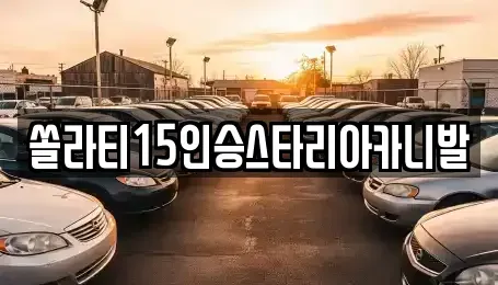 강원특별자치도 횡성군 강림면 렌트카 전문 쏠라티15인승스타리아카니발