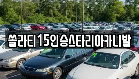 강원특별자치도 횡성군 우천면 렌트카 전문 쏠라티15인승스타리아카니발