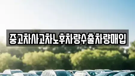 강원특별자치도 횡성군 우천면 중고차 전문 중고차사고차노후차량수출차량매입