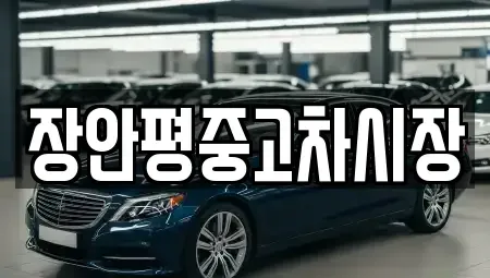 경기 가평군 상면 중고차 전문 장안평중고차시장