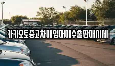 경기 가평군 상면 중고차 전문 카카오토중고차매입매매수출판매시세