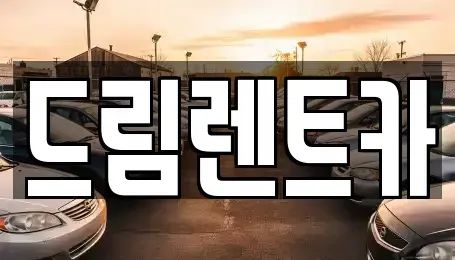 경기 과천시 렌트카 전문 드림렌트카