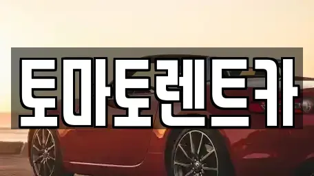 경기 과천시 렌트카 전문 토마토렌트카