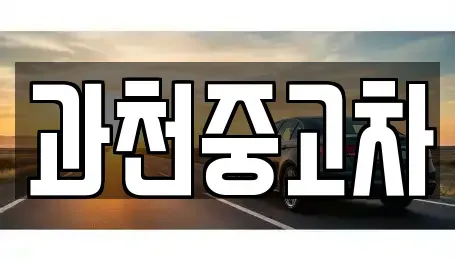경기 과천시 중고차 전문 과천중고차