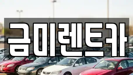 경기 광명시 옥길동 렌트카 전문 금미렌트카