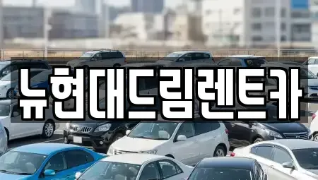 경기 광명시 옥길동 렌트카 전문 뉴현대드림렌트카