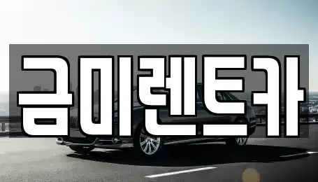 경기 광명시 철산동 렌트카 전문 금미렌트카