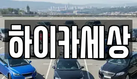 경기 광명시 철산동 렌트카 전문 하이카세상