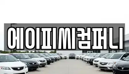 경기 광명시 철산동 장기렌트카 전문 에이피씨컴퍼니