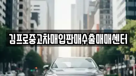 경기 광명시 철산동 중고차 전문 김프로중고차매입판매수출매매센터
