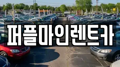 경기 구리시 아천동 렌트카 전문 퍼플마인렌트카