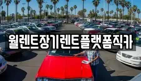 경기 구리시 아천동 장기렌트카 전문 월렌트장기렌트플랫폼직카