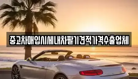 경기 구리시 아천동 중고차매입 전문 중고차매입시세내차팔기견적가격수출업체