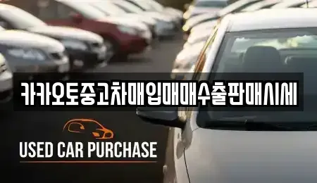 경기 군포시 당동 중고차 전문 카카오토중고차매입매매수출판매시세