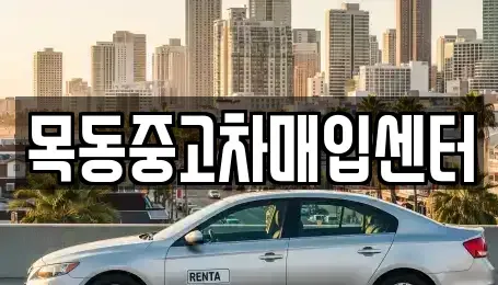경기 군포시 당동 중고차매입 전문 목동중고차매입센터