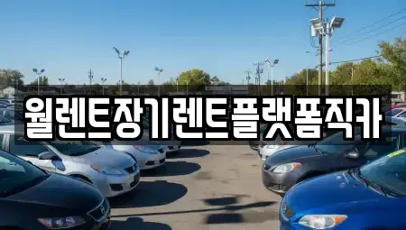 경기 남양주시 수동면 장기렌트카 전문 월렌트장기렌트플랫폼직카