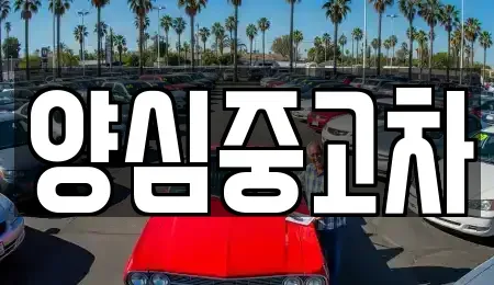 경기 남양주시 수동면 중고차매매 전문 양심중고차