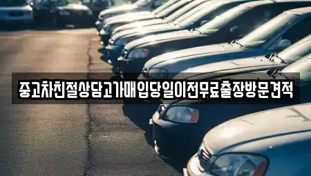 경기 남양주시 수동면 중고차매입 전문 중고차친절상담고가매입당일이전무료출장방문견적