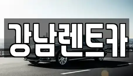 경기 남양주시 평내동 렌트카 전문 강남렌트카