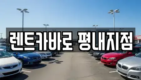 경기 남양주시 평내동 렌트카,단기렌트카,장기렌트카,중고차,중고차매매,중고차매입
