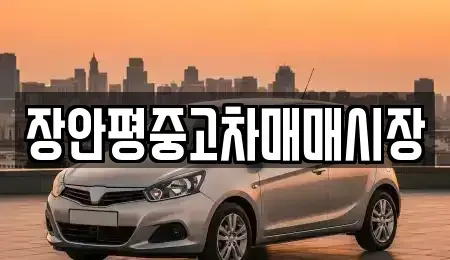 경기 남양주시 평내동 중고차 전문 장안평중고차매매시장