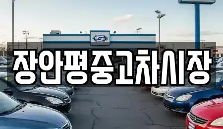 경기 남양주시 평내동 중고차 전문 장안평중고차시장