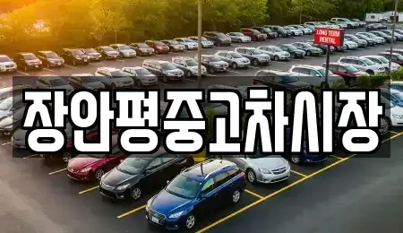 경기 남양주시 평내동 중고차매매 전문 장안평중고차시장
