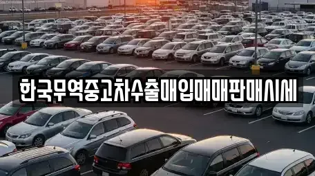 경기 남양주시 평내동 중고차매입 전문 한국무역중고차수출매입매매판매시세