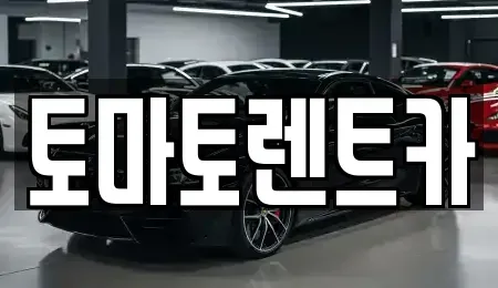 경기 동두천시 광암동 렌트카 전문 토마토렌트카