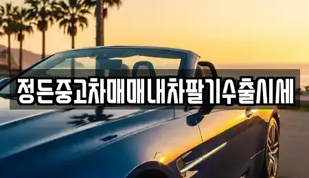경기 동두천시 광암동 중고차매매 전문 정든중고차매매내차팔기수출시세