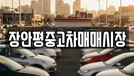 경기 성남시 수정구 상적동 중고차매매 전문 장안평중고차매매시장
