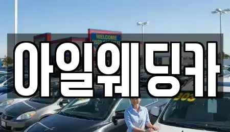 경기 성남시 수정구 수진동 단기렌트카 전문 아일웨딩카