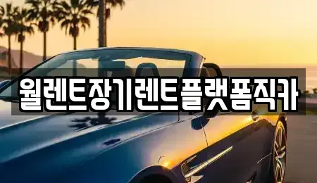 경기 성남시 수정구 수진동 장기렌트카 전문 월렌트장기렌트플랫폼직카
