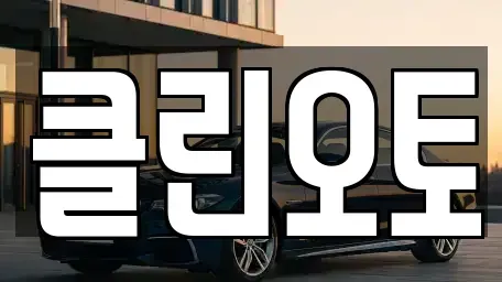 경기 성남시 수정구 수진동 중고차 전문 클린오토
