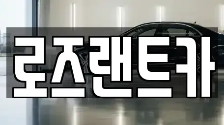 경기 성남시 수정구 신촌동 단기렌트카 전문 로즈랜트카