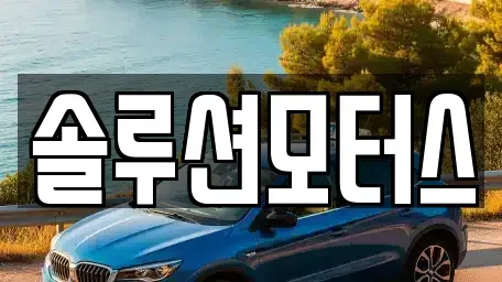 경기 성남시 수정구 신촌동 단기렌트카 전문 솔루션모터스