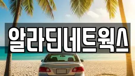 경기 성남시 수정구 신촌동 렌트카 전문 알라딘네트웍스