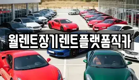 경기 성남시 수정구 신촌동 장기렌트카 전문 월렌트장기렌트플랫폼직카