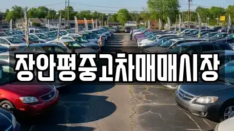 경기 성남시 수정구 신촌동 중고차매매 전문 장안평중고차매매시장
