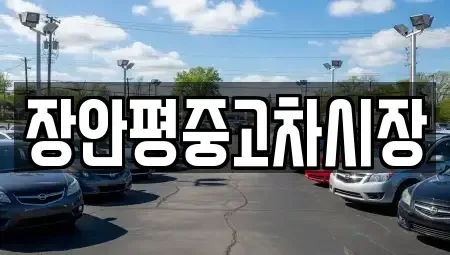 경기 성남시 수정구 신촌동 중고차매매 전문 장안평중고차시장